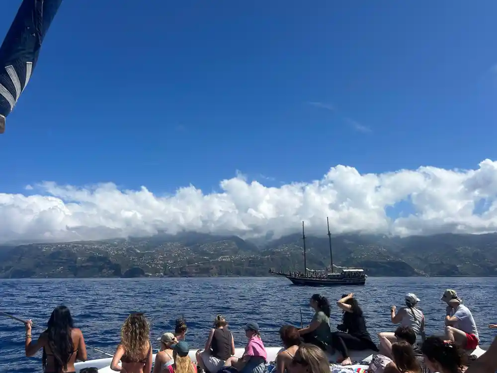 Guests watching from the deck with a schooner and coast beyond