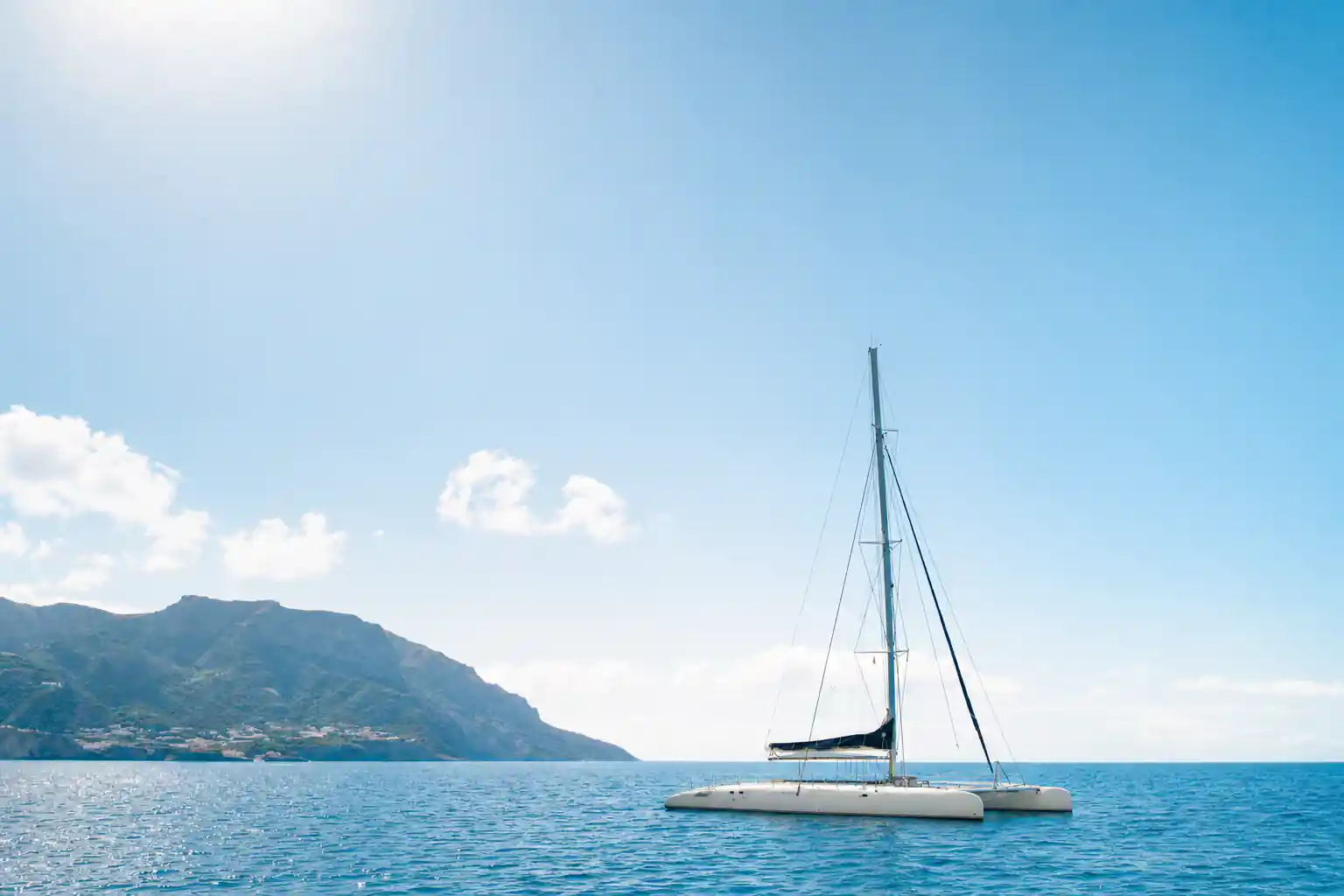 Dolphin and Whale Watching Catamaran Cruise
