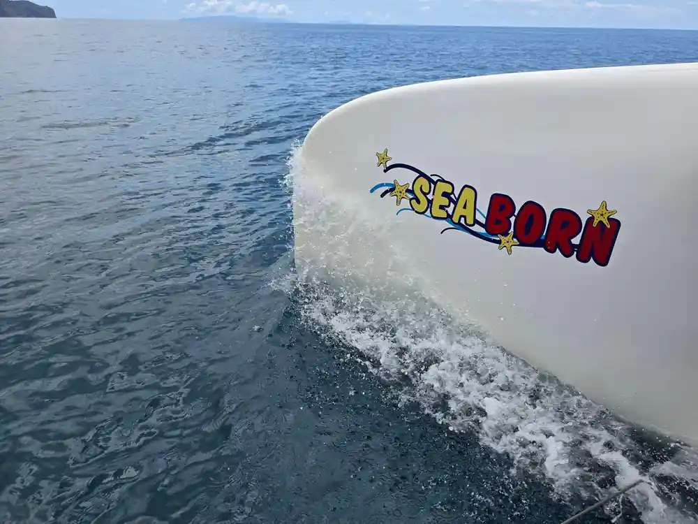 The Sea-Born hull cutting through the water at speed